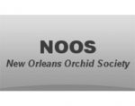 美国新奥尔良兰花协会 The New Orleans Orchid Society (NOOS)
