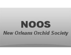 美国新奥尔良兰花协会 The New Orleans Orchid Society (NOOS)