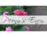 美国牡丹的羡慕苗圃 Peony's Envy