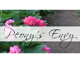 美国牡丹的羡慕苗圃 Peony's Envy