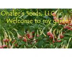 美国 Onalee's Seeds