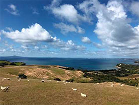 新西兰奥克兰莎士比亚地区公园 Shakespear Regional Park