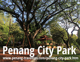 马来西亚槟城国家公园 Penang City Park