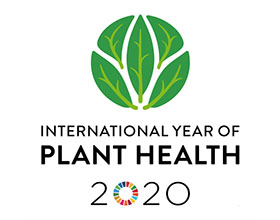 比利时佛兰芒植物医生和研究人员在2020年提高对植物健康的关注
