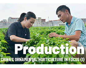 生产-聚焦中国观赏园艺（一）Production-CHINA’S ORNAMENTAL HORTICULTURE IN FOCUS (1)