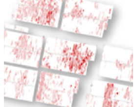 病虫害数字地图 DIGITAL MAPPING of pests and diseases
