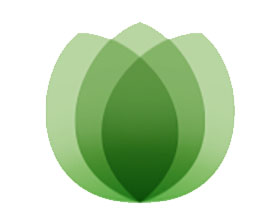 绿色城市报告 Green City Post-2020年的清晰愿景