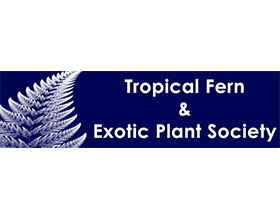 美国南佛罗里达热带蕨类植物与外来植物协会 The Tropical Fern & Exotic Plant Society