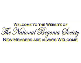 英国海棠协会 National Begonia Society