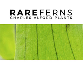 美国查尔斯·奥尔福德植物 Charles Alford Plants