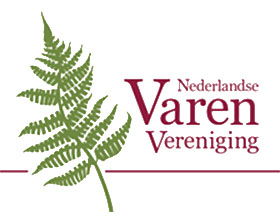 荷兰蕨类植物协会 Nederlandse Varenvereniging