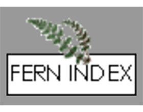 英国和爱尔兰的蕨类植物 Ferns in Britain and Ireland