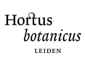 荷兰莱顿大学莱顿植物园 Hortus Botanicus Leiden