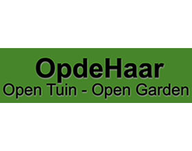 荷兰开放式花园 OpdeHaar Garden