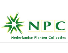 荷兰植物收藏中心 Nederlandse Planten collecties