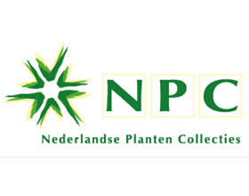 荷兰植物收藏 Nederlandse Planten collecties