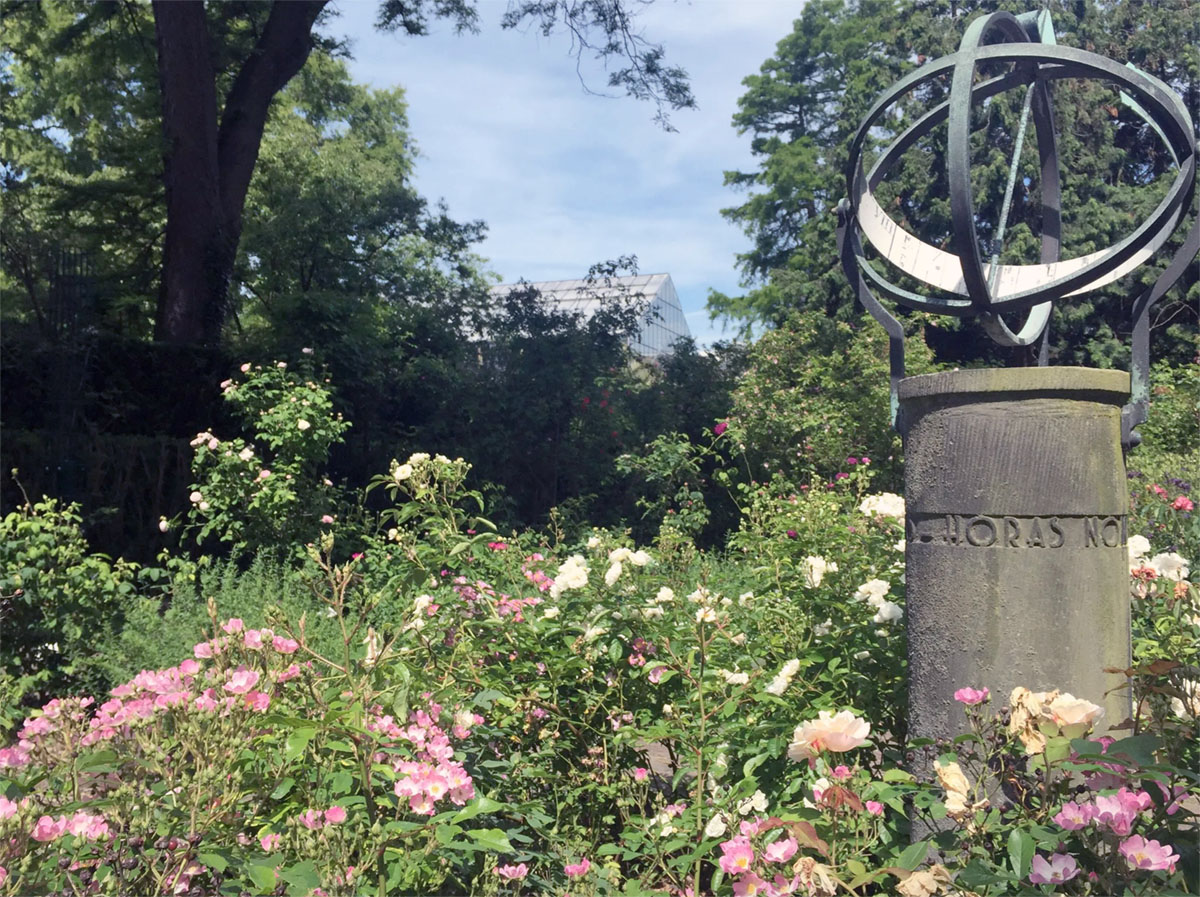 荷兰莱顿大学莱顿植物园