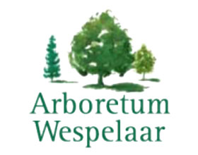 比利时韦斯普拉植物园 Arboretum Wespelaar