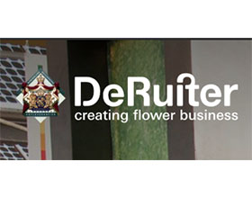 荷兰德鲁伊特鲜花创新公司 De Ruiter Innovations