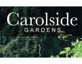 苏格兰Carolside花园 Carolside Gardens