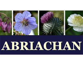 苏格兰ABRIACHAN 花园苗圃 ABRIACHAN GARDEN NURSERY