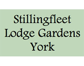 英国Stillingfleet Lodge花园和苗圃