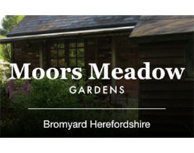 英国摩尔草甸花园 Moors Meadow Garden