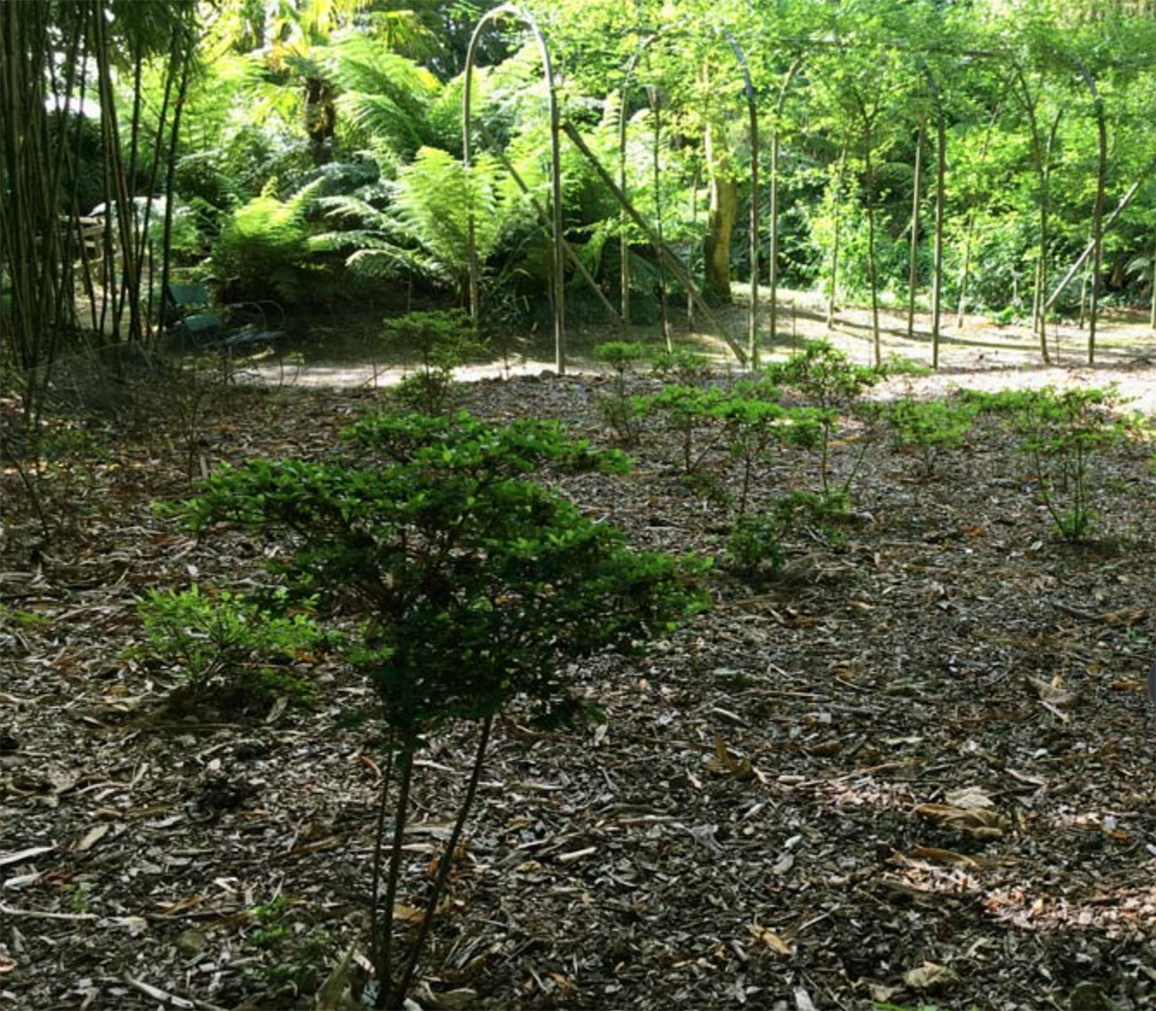 英格兰特雷威登庄园和花园
