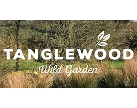 英国Tanglewood野生花园 Tanglewood Wild Garden