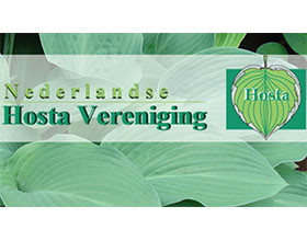 荷兰玉簪协会 Nederlandse HOSTA vereniging