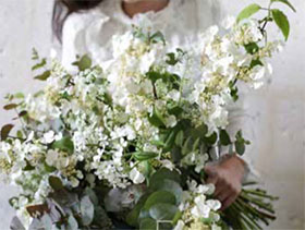 两个花卉市场的故事 A tale of two flower markets