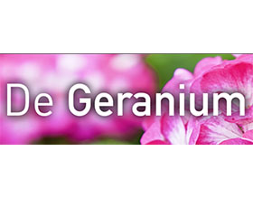 荷兰天竺葵苗圃 Kwekerij De Geranium