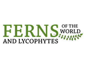 世界蕨类和苔藓植物 Ferns and Lycophytes of the World