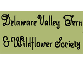 美国特拉华河谷蕨类植物与野花协会 The Delaware Valley Fern & Wildflower Society