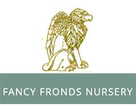 美国花式复叶苗圃 Fancy Fronds Nursery