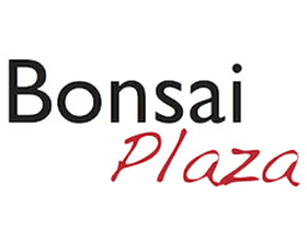 荷兰盆景广场 Bonsai Plaza