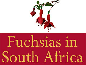 南非倒挂金钟协会 Fuchsias in South Africa