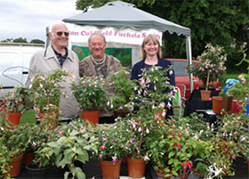 英国萨顿科尔菲尔德倒挂金钟协会 Sutton Coldfield Fuchsia Society