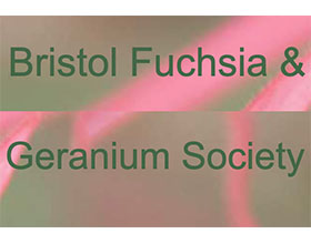 英国布里斯托倒挂金钟和天竺葵协会 Bristol Fuchsia & Geranium Society