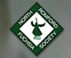 英国北罗姆福德倒挂金钟协会 North Romford Fuchsia Society