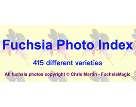 倒挂金钟图片库 Fuchsia Photo Index