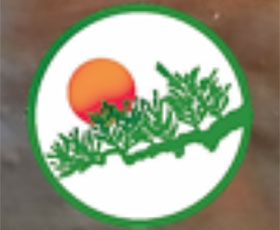 北美盆景联合会 The North American Bonsai Federation (NABF)