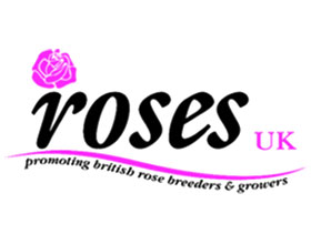 玫瑰英国 Roses UK