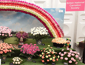 英国康乃馨协会 British National Carnation Society
