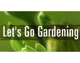 英国让我们去园艺网 Let's Go Gardening