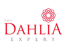 加拿大大丽花专家农场 The Dahlia Expert