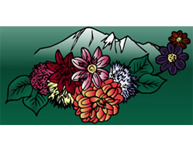 美国Whatcom县大丽花协会 Whatcom County Dahlia Society