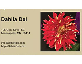 美国大丽花德尔 Dahlia Del