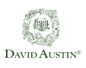 英国大卫·奥斯汀玫瑰 David Austin Roses