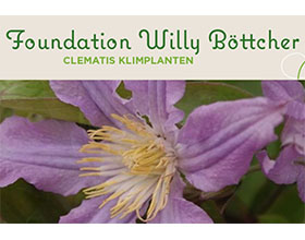 比利时威利·博彻铁线莲基金会 Foundation Willy Bottcher Clematis Klimplanten